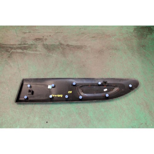 Front door car molding - door,