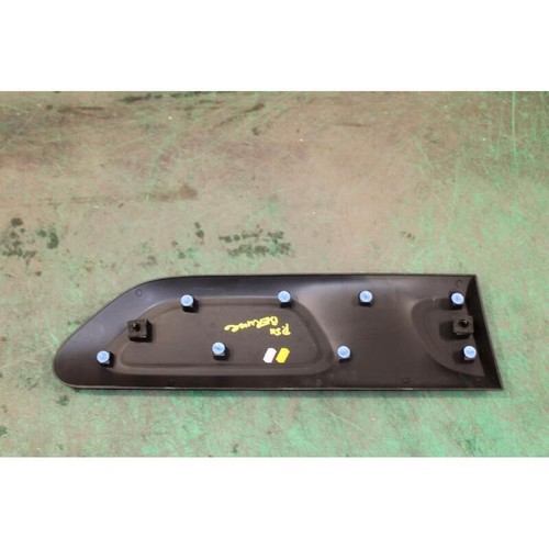Rear door car molding - door,