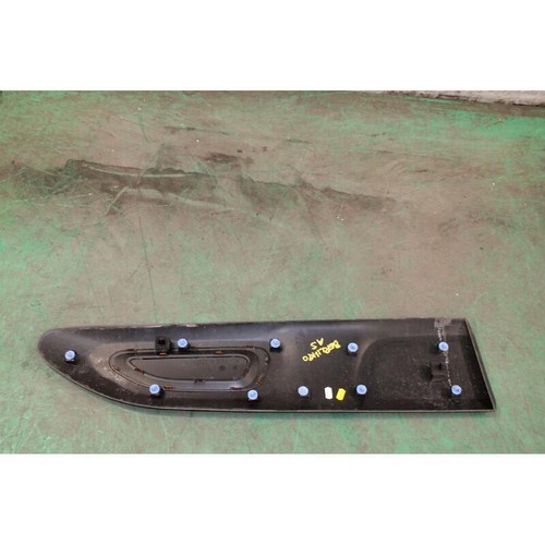 Front door car molding - front,